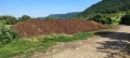 Продавам птича тор-0885220537, снимка 1