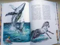 Най-известните приказки на Шехеразада - с красиви илюстрации, снимка 3