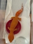 Леопардови Гекони / Leopard Geckos / Eublepharis macularius , снимка 1