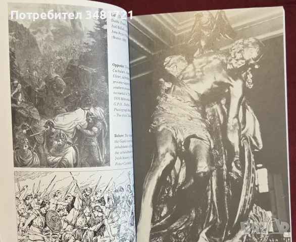The Celts. An Illustrated History, снимка 7 - История, политика и общество - 55362474
