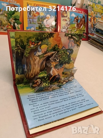 Братче и сестриче - Панорамна книжка – Силвия Тодорова худ. Цветан Тодоров, снимка 2 - Детски книжки - 54572600