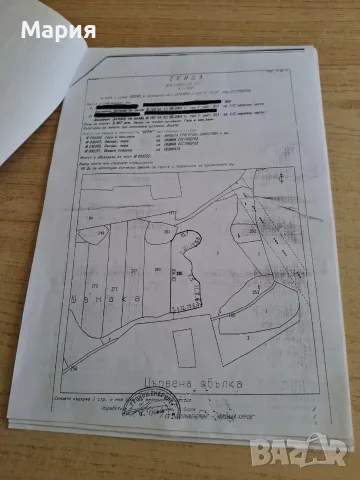 Продава се гора , снимка 2 - Земеделска земя - 55323078