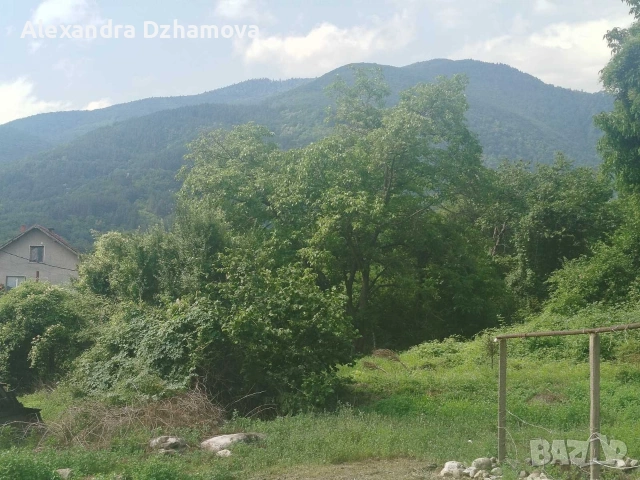 продавам къща в с.Сестримо, снимка 2 - Къщи - 55125080