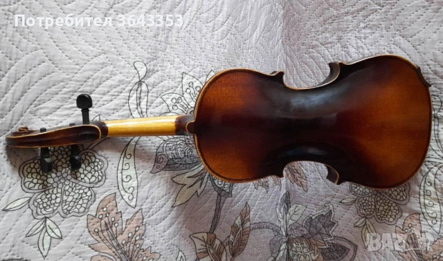 	Цигулка 1/2, снимка 4 - Струнни инструменти - 48995992