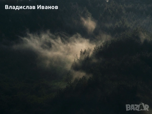 Професионален Фотограф: Сватби, Балове, Кръщенета и Събития, снимка 14 - Фотографи - 54191669