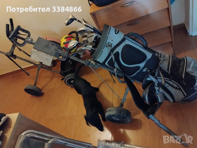 Стикове и колички за голф, снимка 2 - Голф - 55284714