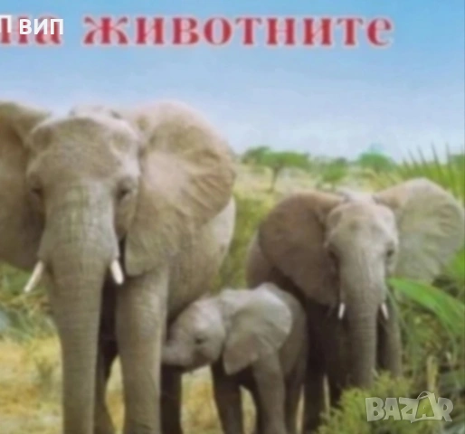 Чудният свят на животните