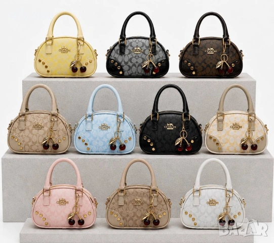 чанти coach