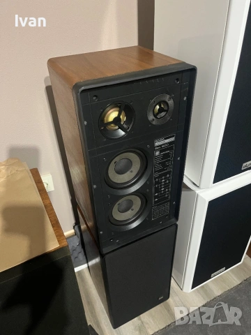 Saba  Ultra 600, снимка 2 - Тонколони - 54011820