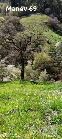 Продавам къща в Родопите с.Чуреково. 🌲 