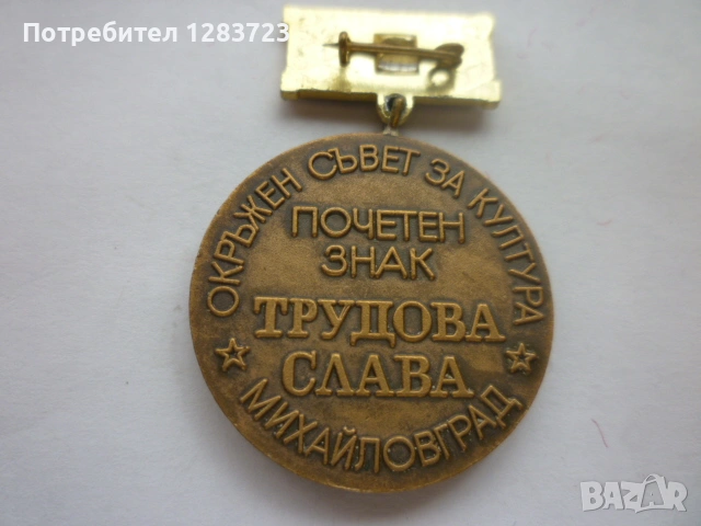 Знак Медал Орден, снимка 3 - Антикварни и старинни предмети - 54514871