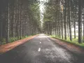 Огледало за баня с LED светлина и демисер 75х55см 7F3T, снимка 2