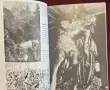 The Celts. An Illustrated History, снимка 7