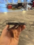 Samsung Galaxy S24 256GB , снимка 4