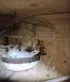 Продавам чифт млади бели сенегалски, снимка 2