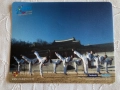Корейски падове за мишка – традиционна кухня и таекуондо „Visit Korea Year 2010–2012“, снимка 3