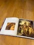 Книга за Леонардо Да Винчи, 2бр. (Испански език), снимка 4