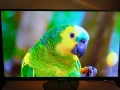 AOC AG276QZD2 QD-OLED монитор QHD 240 hz 27 инча, снимка 1