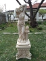 113. Статуя Дафне, снимка 1