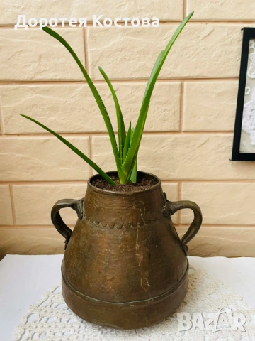 Красива медна кашпа с 2 дръжки от Англия с алое вера