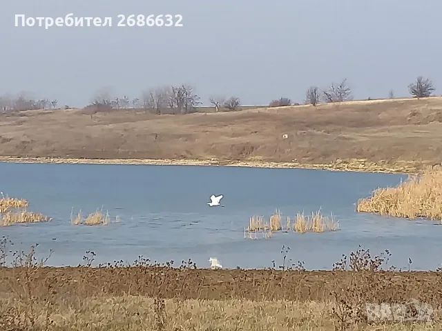 ПРОДАВА СЕ КЪЩА В СЕЛСКА ОБЩИНА в Рогозен, снимка 12 - Къщи - 55682567