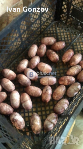 Тапи за риболовни мрежи, снимка 2 - Такъми - 54096860