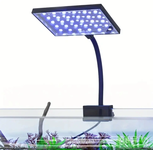 Нова LED лампа за колби и аквариуми, снимка 2 - Аквариуми - 54413575
