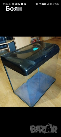 Малък терариум, снимка 3 - Хамелеон - 53988992