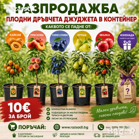 Дръвче- Джудже -Изненада 