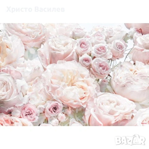 Фототапет Spring Roses 8-976 - 368/254см. НОВ, снимка 2 - Декорация за дома - 54923478