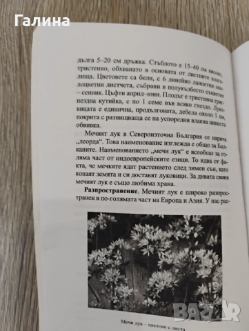 Диворастяща храна, снимка 5 - Енциклопедии, справочници - 54394795