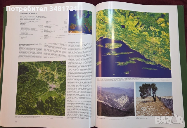 Голям сателитен атлас - горите на Европа / Satellite Remote Sensing Forest Atlas of Europe, снимка 17 - Пътеводители, карти и атласи - 54960099