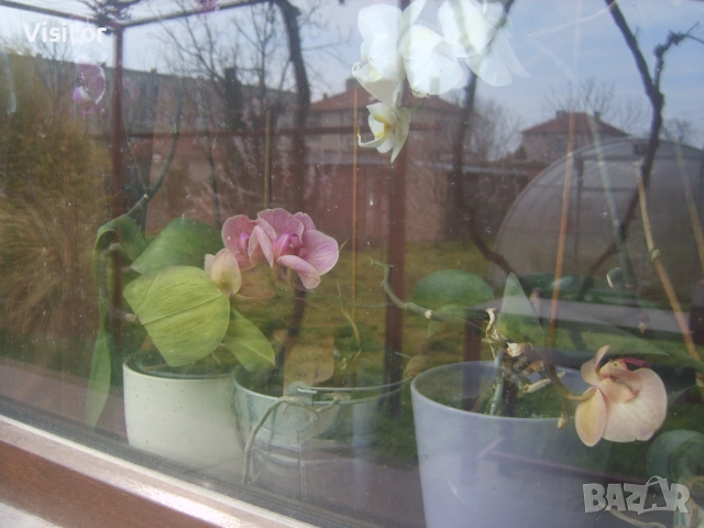 Samsung S830  8 MPx, снимка 12 - Фотоапарати - 54012538