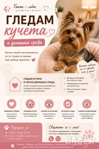 Гледам кучета в уютна и домашна среда