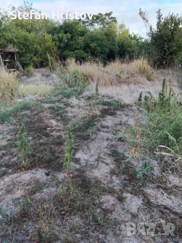 Косене + Хамалски услуги + Почистване + транспорт , снимка 5 - Почистване на домове - 54322613