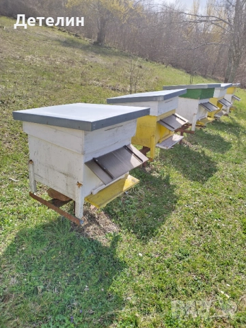 пчелни кошери Дадан-Блат 12 рамкови , снимка 5 - За пчели - 54009773