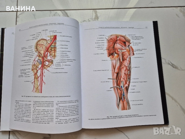 НОВИ! КОЛЕКЦИЯ " АТЛАС ПО АНАТОМИЯ НА ЧОВЕКА " Р.Д. СИНЕЛНИКОВ , снимка 11 - Здраве, медицина и спорт - 55137759