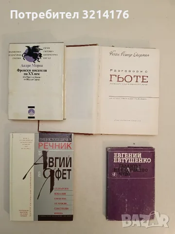 Енциклопедичен речник от Авгий до Яфет - Сергей Влахов (Отлично състояние)