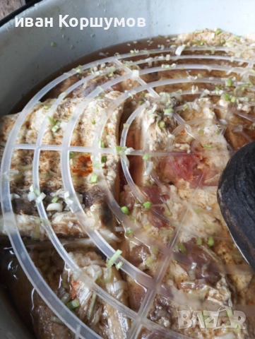 Саламурена сланина 6 евро