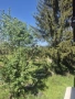 Продавам къща с. Широки Дол, Самоков, снимка 3