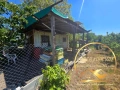 Парцел село Бял Извор област Стара Загора, снимка 1
