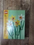LEGO Iconic - Нарциси (40747), снимка 5