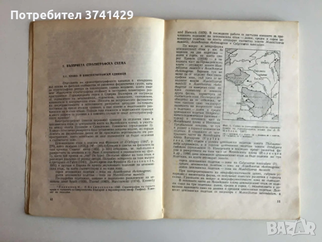 Книга Стратиграфия на епиконтиненталния тип горна креда в България – Н. Йолкичев (с автограф), снимка 5 - Специализирана литература - 54441598