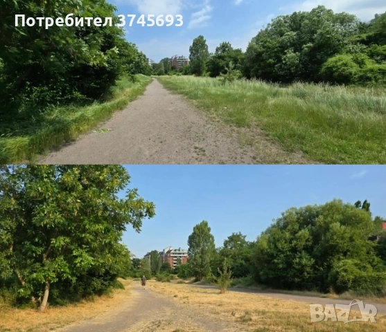 Косене на трева с тример, пръскане за кърлежи, София