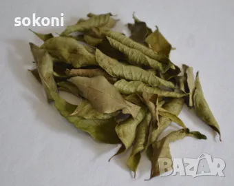 Dried Curry Leaves / Сушени Листа Къри 10гр