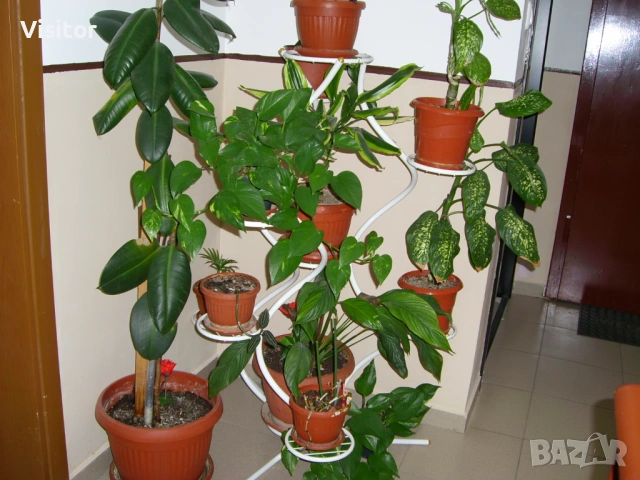 фотоапарат Samsung L70 Digital  , снимка 16 - Фотоапарати - 54254462