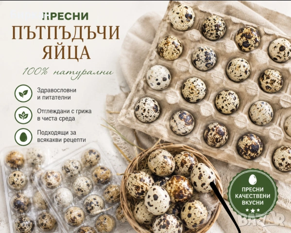Пътпъдъчи яйца пресни за люпене, снимка 2 - За птици - 55286851