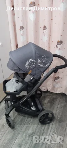 Chipolino electra 2022