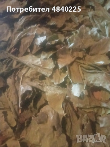 Сушени лапад и коприва, пресни лапад и коприва, снимка 4 - Други - 54859791