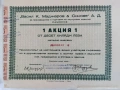 Акция - Самоков - перфектна, с всички талони, снимка 1